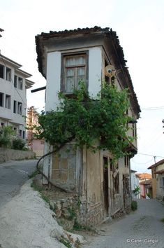 an old run down building with vines growing on it