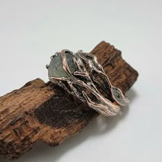 two silver rings sitting on top of a piece of driftwood next to each other