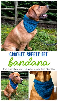 the crochet safety pet bandana is an easy to knit scarf for dogs and cats