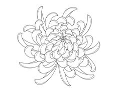 a drawing of a large flower on a white background