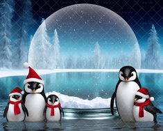 three penguins are standing in the water wearing santa hats