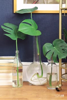 three vases with plants in them sitting on a table