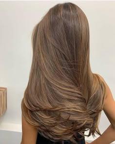 Ladies Hairstyles, Breaking Hair, Hair With Highlights, Brown Hair Balayage, Healthy Hair Tips, Brown Blonde Hair