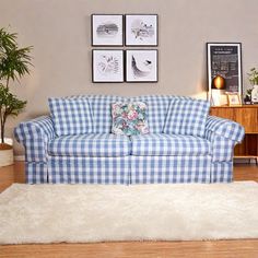 a blue and white checkered couch sitting in a living room next to a potted plant