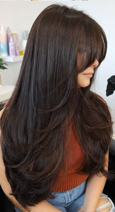 Hair Inspiration Long, Haircut Inspo, Hair With Layers, Long Brown Hair, Haircuts Straight Hair