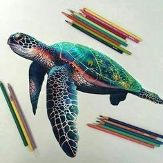 a drawing of a sea turtle surrounded by colored pencils and crayon pens