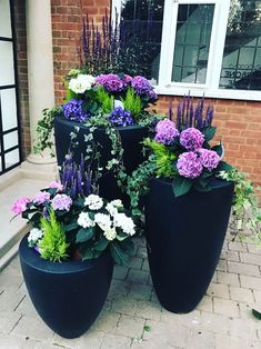 three large black planters with purple and white flowers in front of a brick building