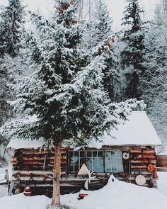 a log cabin in the middle of winter with snow on the ground and trees around it