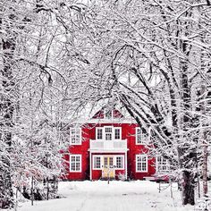 a red house surrounded by snow covered trees