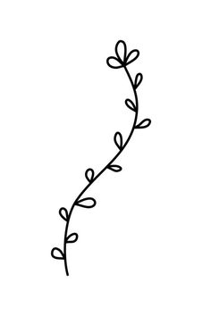 Vector simple hand drawn flower botanical illustration. Line artwork, minimal design element. elegant and delicate plant doodles for branding, graphic design. spring floral Minimal Flower Illustration, Simple Vine Tattoo, Plant Doodles, Plant Doodle, Gala Night, Vine Tattoos, Line Artwork, Plant Vector, Vector Flowers