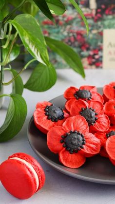 some red flowers are on a black plate