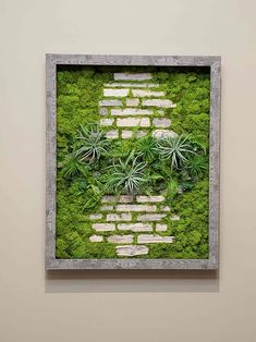 a moss covered wall with some plants in the middle and white bricks on it's sides