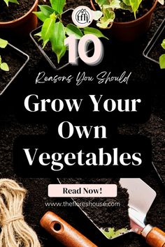 gardening tools and plants with text overlay reading 10 lessons you should grow your own vegetables read now