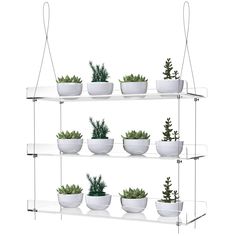 a white shelf filled with potted plants on top of each other