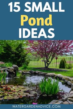 Create a tranquil backyard retreat with these inspiring small pond ideas. Explore creative pond designs that maximize space and beauty, from charming container ponds to elegant mini water gardens and koi ponds. Embrace the use of aquatic plants, decorative stones, and soothing water features to enhance your small pond's appeal. Koi Ponds With Waterfalls, Turtle Ponds Backyard Diy, Small Ponds With Waterfall, Small Backyard Pond, Tranquil Backyard, Container Ponds, Koi Pond Backyard, Small Pond Ideas, Home Pond