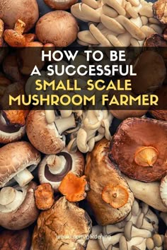 mushrooms with the words how to be a successful small scale mushroom farmer in front of them