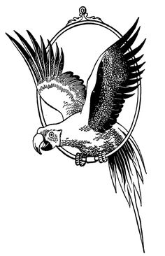 an eagle flying through the air with its wings spread