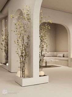 the interior of a spa with white walls and plants in vases on pedestals