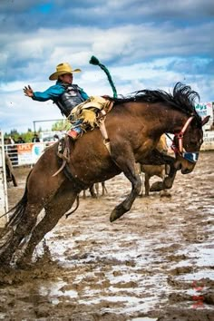 a man riding on the back of a brown horse