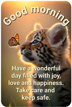 a small tiger cub with a butterfly on its nose and the words good morning have a wonderful day filled with joy, love and happiness take care and keep safe