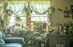 a living room filled with lots of potted plants next to a window covered in curtains