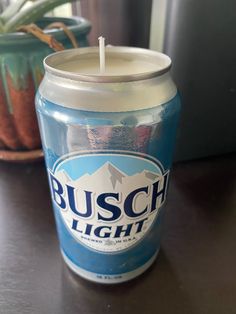 a can of busch light sitting on a table next to a potted succulent