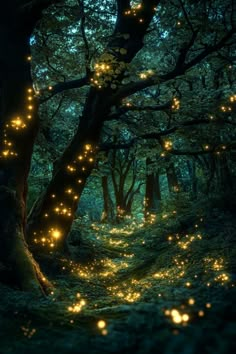 fireflies are glowing in the trees and on the ground, as if they were flying through