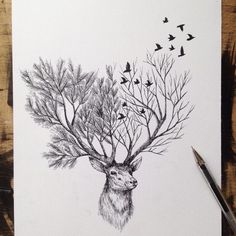 a drawing of a deer with trees and birds