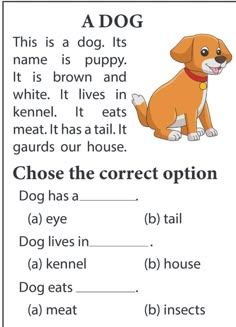 A dog . Read  and choose the correct answer . easy reading worksheet Worksheets For Grade 1, Kindergarten Reading Activities, Grammar For Kids