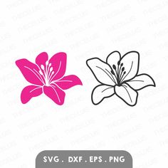 two pink and white flowers svg dxf eps png example for cutting