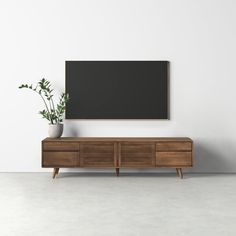 an empty room with a tv on the wall and a plant in front of it