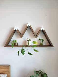 three wooden triangle shelves with plants on them