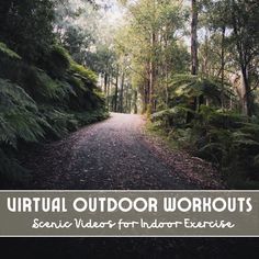 a road surrounded by trees with the words virtual outdoor workouts