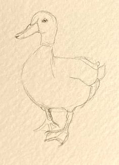 a drawing of a duck standing on one leg