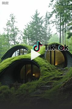 an unusual house in the woods with moss growing on it