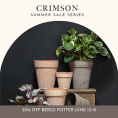 pots with plants in them sitting next to a black background and the words crimson summer sale series 20 % off