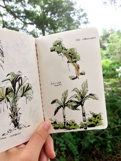 a hand holding an open book with drawings of trees and plants on it's pages