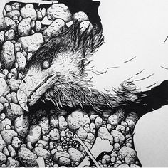 a black and white drawing of a bird on rocks