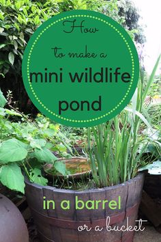 a sign that says how to make a mini wildlife pond in a barrel