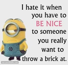 50 Hilariously Funny Minion Quotes With Attitude Quotes Daughter, Minion Humour, Minion Meme, Minion Memes, Thelma Louise