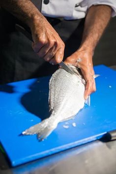 a man cutting up a fish on top of a blue board