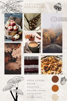 an autumn mood board with photos and text