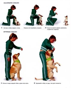 a woman in green pants sitting on the ground with her dog and stretching it up