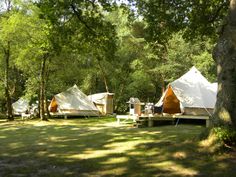 several tents are set up in the woods