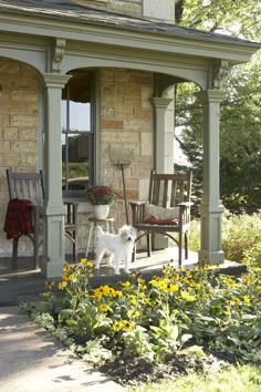 a small white dog standing on the front porch of a brick house with sunflowers