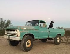 a black dog sitting on the back of a green truck