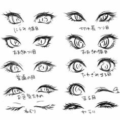 an image of different types of eyes in various poses and expressions, all drawn by hand