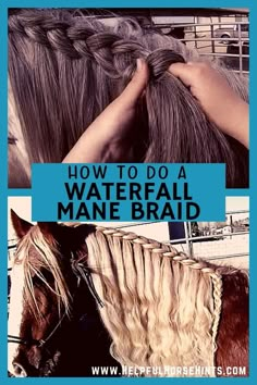 a horse that has some braids on it's head and the words how to do a waterfall mane braid