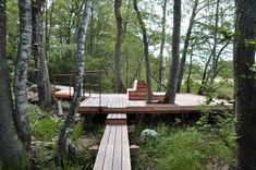 a wooden deck in the middle of a forest