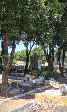 an old cemetery with many headstones and trees